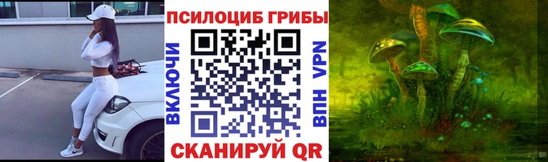 Псилоцибиновые грибы мицелий  Жирновск 